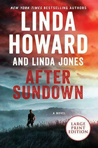 After Sundown LP by Linda Howard (Paperback, 2020)