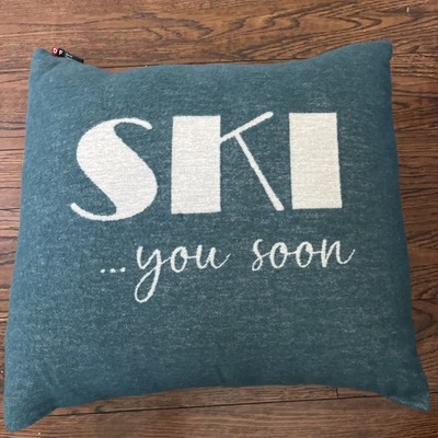 David Fussenegger Ski You Soon green down pillow, New, 18  X 19 World Traveler