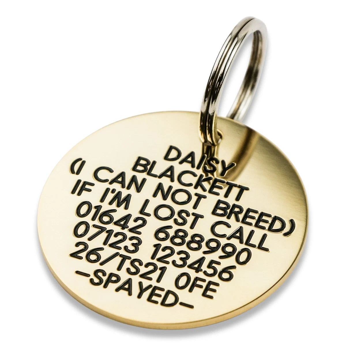 Engraved clearance dog id