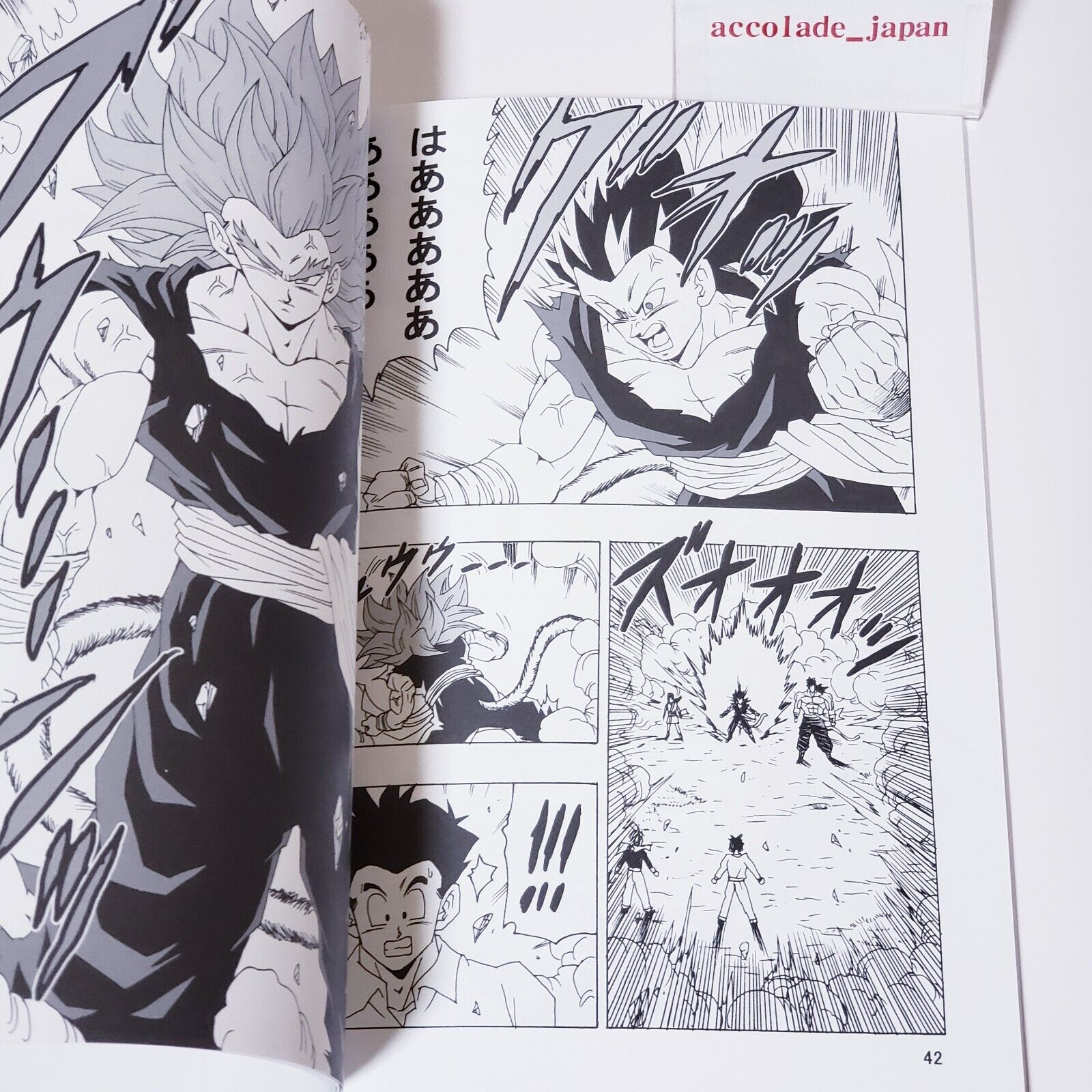 Doujinshi DRAGON BALL  AFTER THE FUTURE Vol.21