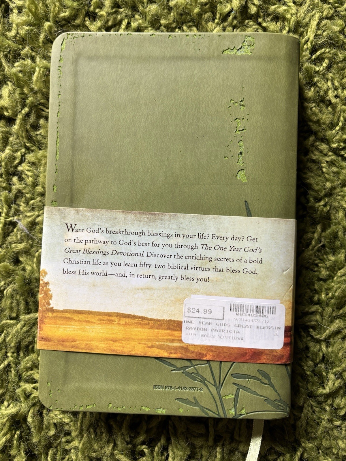 The One Year (365 days) God’s Great Blessings Devotional Daily Guide ...
