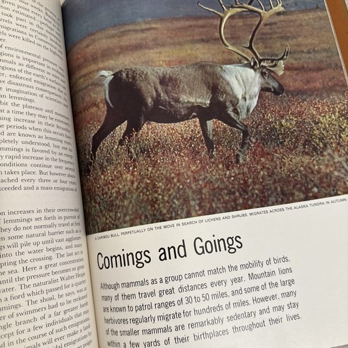 Vintage 1963 "The Mammals" By Time Life Nature Library Hardcover Book  - Picture 12 of 14
