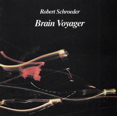 Brain Voyager by Robert Schroeder (CD, 1985, Racket Records)
