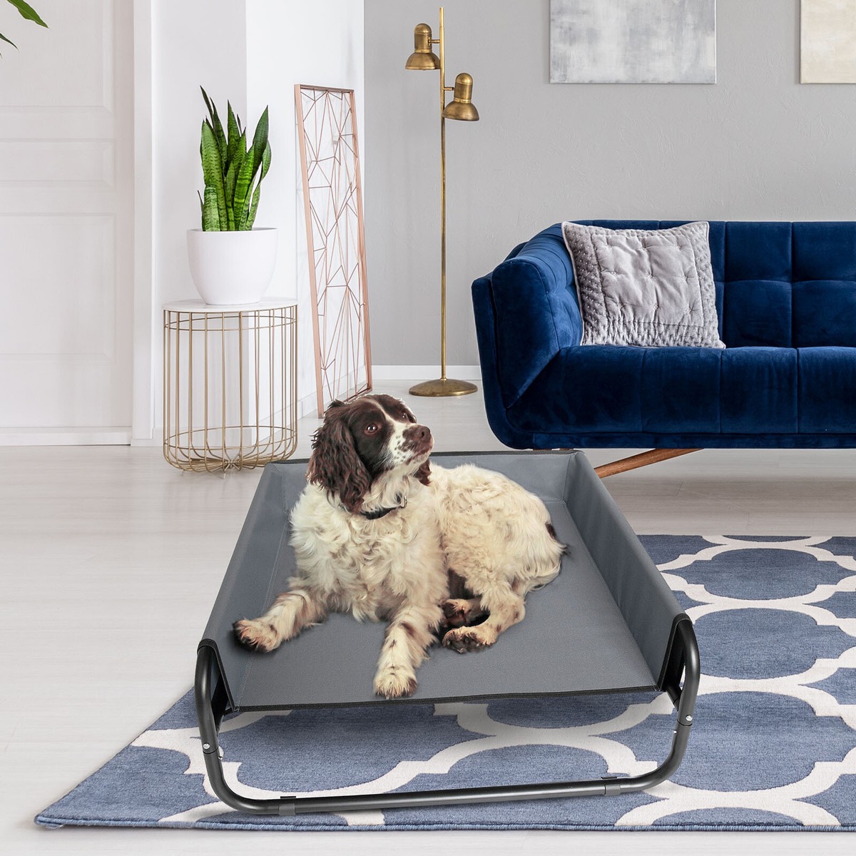 Easipet Large Elevated Dog Bed With Sides Black for sale online