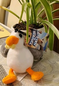 Squishmallow 8 Inch Steve The Seagull Plush Toy - Owl & Goose Gifts