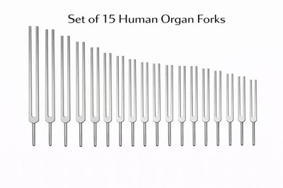   Human Organ Tuning Forks Set 15-Piece Collection | Sound & Vibrational Therap