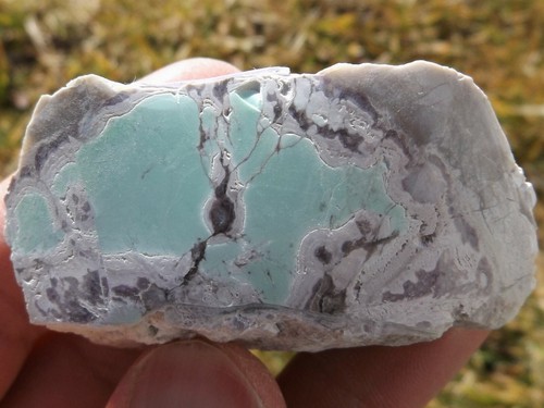 DIG-N-UTAH: VARISCITE UTAH POLISHED # L 350 - Picture 1 of 3