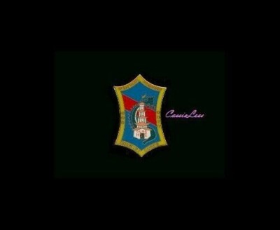 USMC 1st Bde 4th Mar 1'' + a custom promo pin