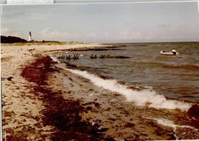 40001893 - 2322 Behrensdorf Beach Bay Lighthouse