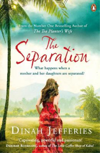 Dinah Jefferies The Separation (Tascabile)