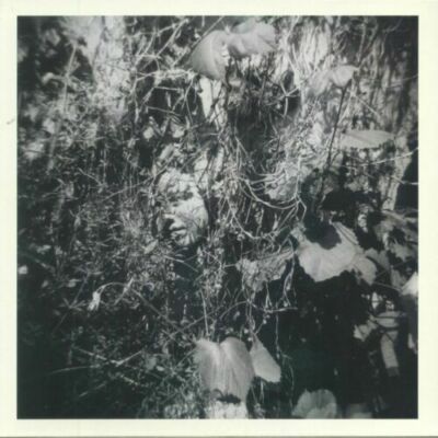 MISLOCK, Tim - Now Is The Last Best Time - Vinyl (LP + MP3 download code)
