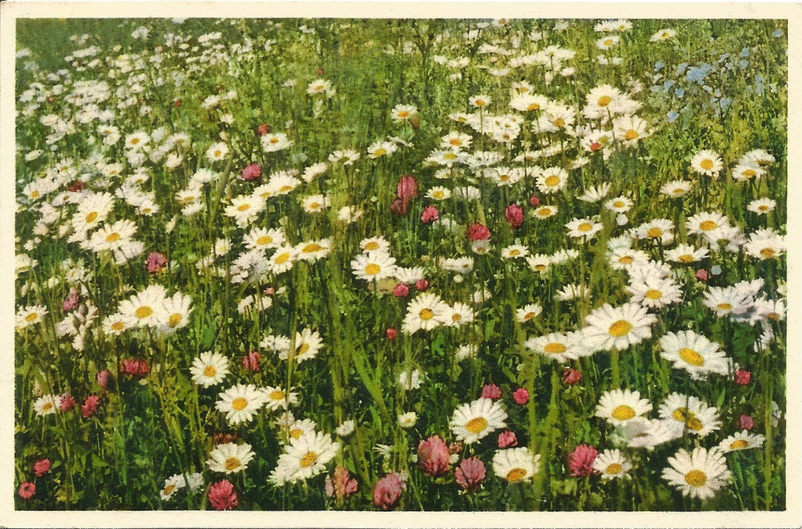 Foto 1 di 2