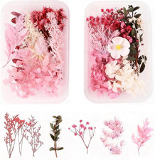 Fiori Secchi Naturali, Scatolefiore Pressati Secchi, Materiali Decorazioni Flore