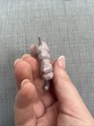 Bild 5 von 6