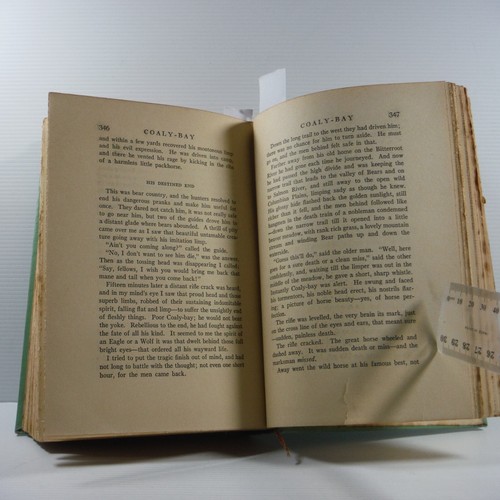 Hosses Anthology Of Short Stories by Charles Wright Gray 1927 Antique horse book - Picture 13 of 22