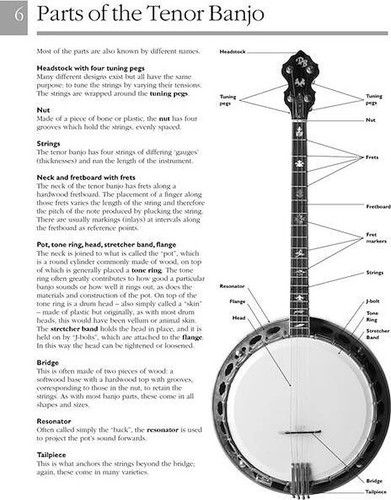 Absolute Beginners - Irish Tenor Banjo - The Complete Guide to Playing Irish ... - Picture 6 of 10