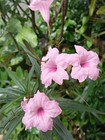 Foto 6 di 6