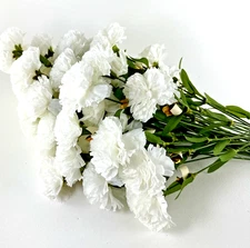 49 Artificial Fabric Carnations Stem Flowers 17.5" Long Crafts Floral Sanlo New