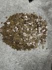 New Listing(5750) Count Bag of Mixed Wheat Pennies Cents Dated Between 1940-1958 #11