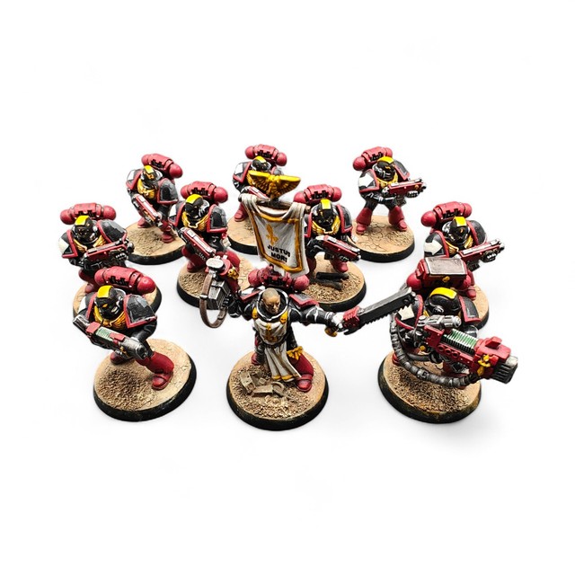 Black Templars Tactical Squad