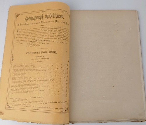 Golden Hours A Magazine for Boys and Girls June 1875 - Picture 3 of 6