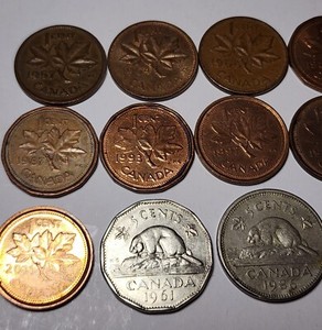 (14) Canadian Pocket Change: Loonie Dollar '95 + Beaver Nickels 61, 86 + Pennies