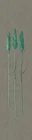 Marburg Wallpaper 33272 Natural Opulence Beige Green Reeds Mural Panels Fleece