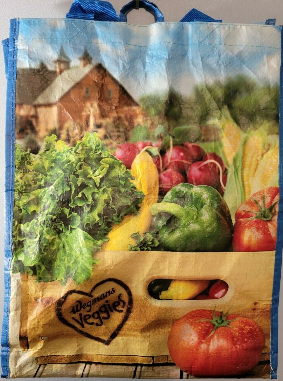 Wegmans Reusable Grocery Shopping Bag Tote Eco Friendly w/Liner eBay