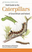 Field Guide To The Caterpillars Of Great Britain And Ireland | Henwood (U. A.)