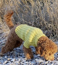 RIBBED SMALL - MEDIUM DOG COAT KNITTING PATTERN COPY NUMBER 46 24 – 32 - 40 cm