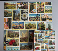COMPLETE GALISON PAINTED DESERT FLOWERS CACTUS PLANT HORSE STAR 500 PIECE PUZZLE