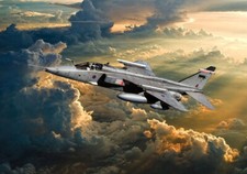  RAF Sepecat Jaguar  canvas prints various sizes free delivery 