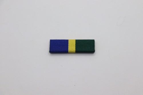 Long Service Slide On Medal Ribbons For Slide on Ribbon Bars - Picture 9 of 31