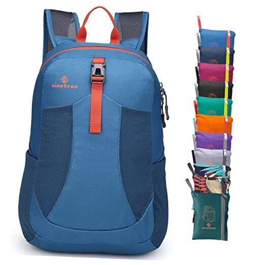 22L Lightweight Packable Daypack for Hiking in Blue