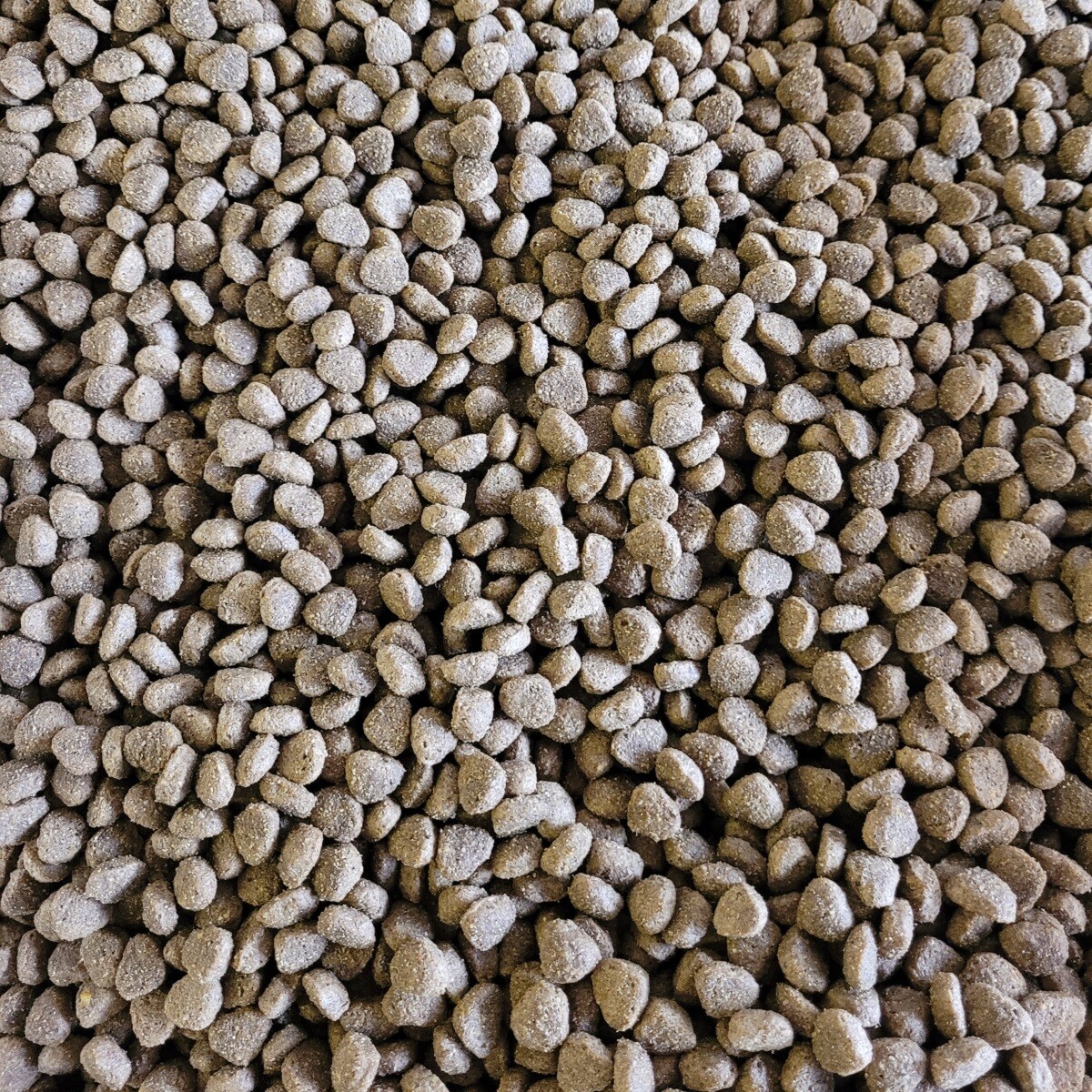 GUSTO PUPPY JUNIOR FOOD 350g 1kg 2.5kg 5kg 10kg 12kg Dog Feed bp Dry