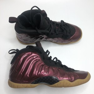 foamposite size 5.5 y