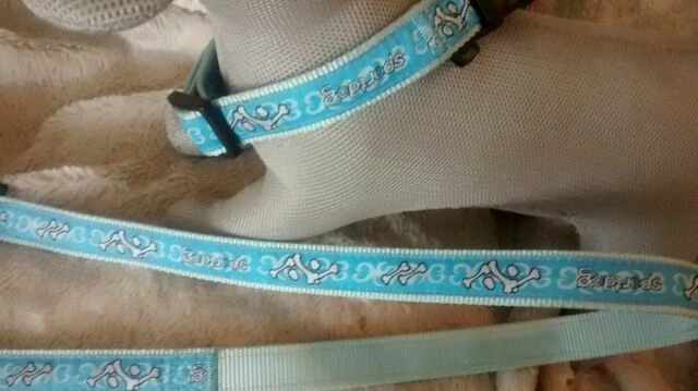 Trixie Dog Collars
