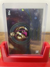 2025 Topps WWE Universe 160 Jim 