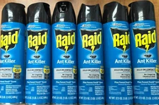 6 Cans Raid Ant and bug Killer 26 pine forest scent Spray Cans 17.5 oz (6-pack)