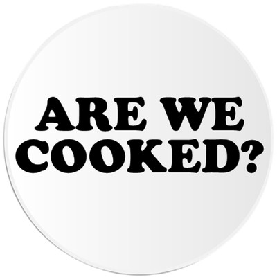 Are We Cooked? - 100 Pack Circle Stickers 3 Inch - Meme Humor | eBay