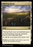 X 1 Thriving Heath NM-M 251 CLU Ravnica Clue Edition MTG Magic The Gathering
