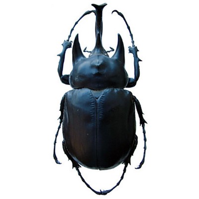 stag beetle backpack