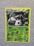 Spewpa 16/146 XY Reverse Holo Pokemon