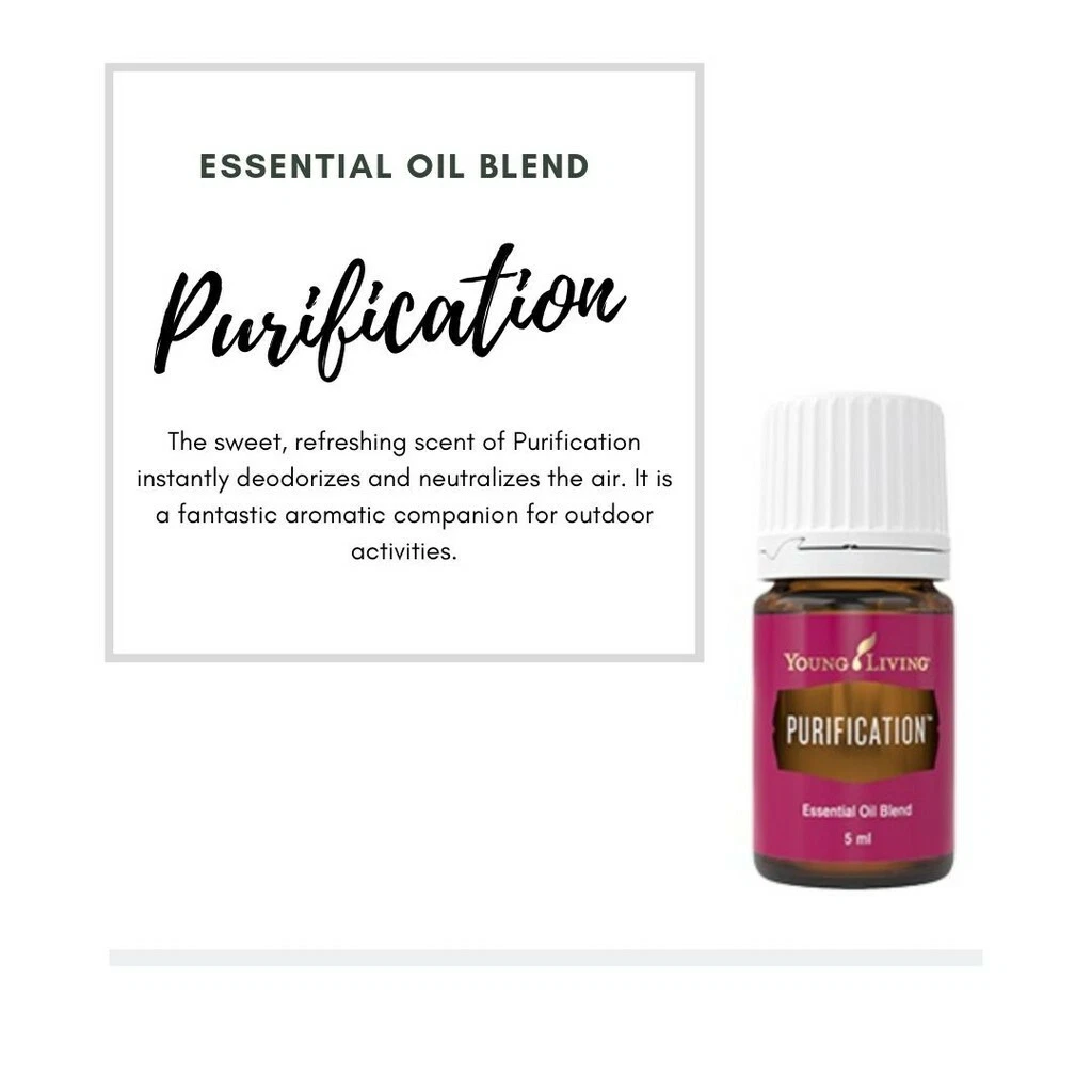 Young living essential oil for clean air online
