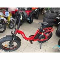 2021 ECOLOCYCLE FAT BIKE