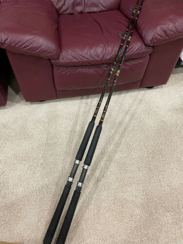 Penn Squadron Ii 9Ft Medium 20Lb Surf Spinning Rod 2Pc Titanium Red Gold |  eBay