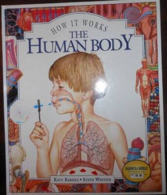 The Human Body (How It Works) - Hardcover By Kate Barnes - VERY GOOD