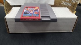 TAG TEAM WRESTLING NINTENDO NES VIDEO GAME NO BOX OR MANUAL AUTHENTIC 5 SCREW