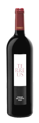 Bodegas Mauro Terreus Tinto   2022