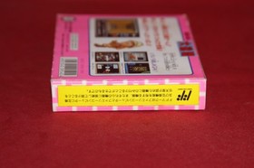 Dai Meiro: Meikyuu no Tatsujin (Nintendo Famicom, 1990) Authentic, CIB Complete